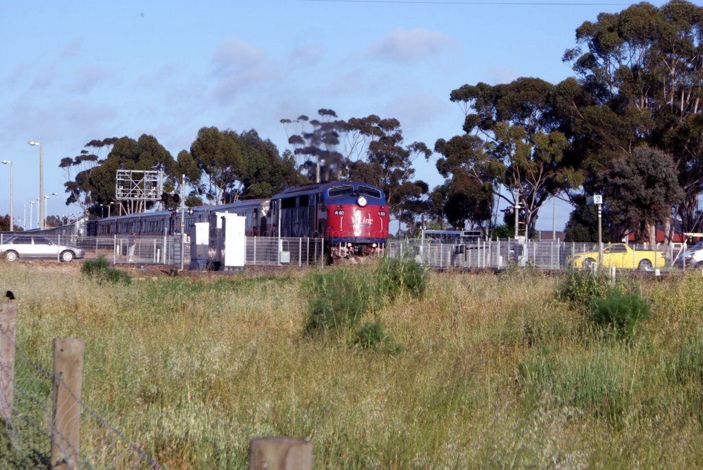 A60-5 Sprinters-10-11-11 02 of 26 DSC04370