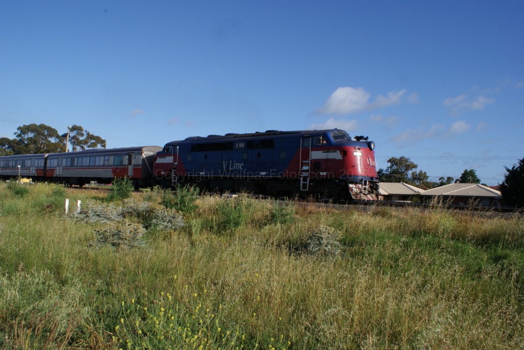 A60-5 Sprinters-10-11-11 09 of 26 DSC04377