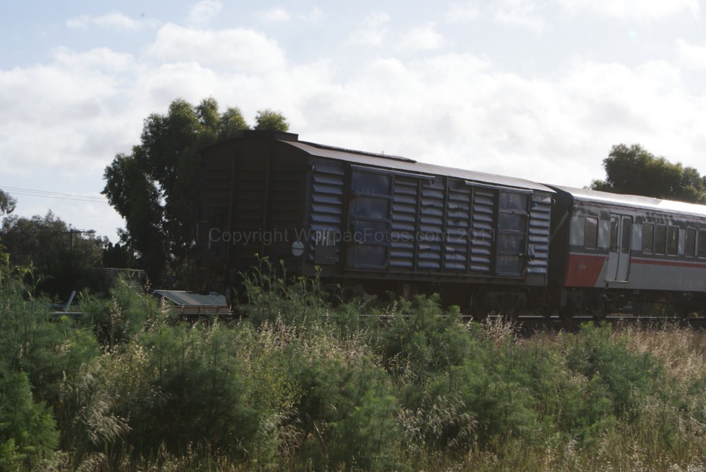 A60-5 Sprinters-10-11-11 23 of 26 DSC04391