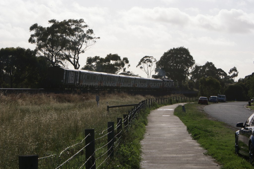 A60-5 Sprinters-10-11-11 26 of 26 DSC04394