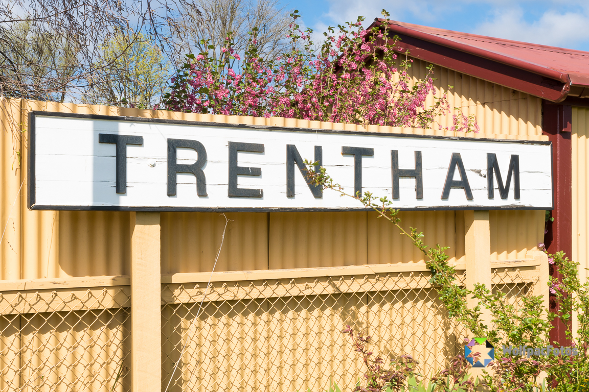 Trentham station and Yard – 29-7-2014